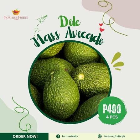 Fortune Avocado