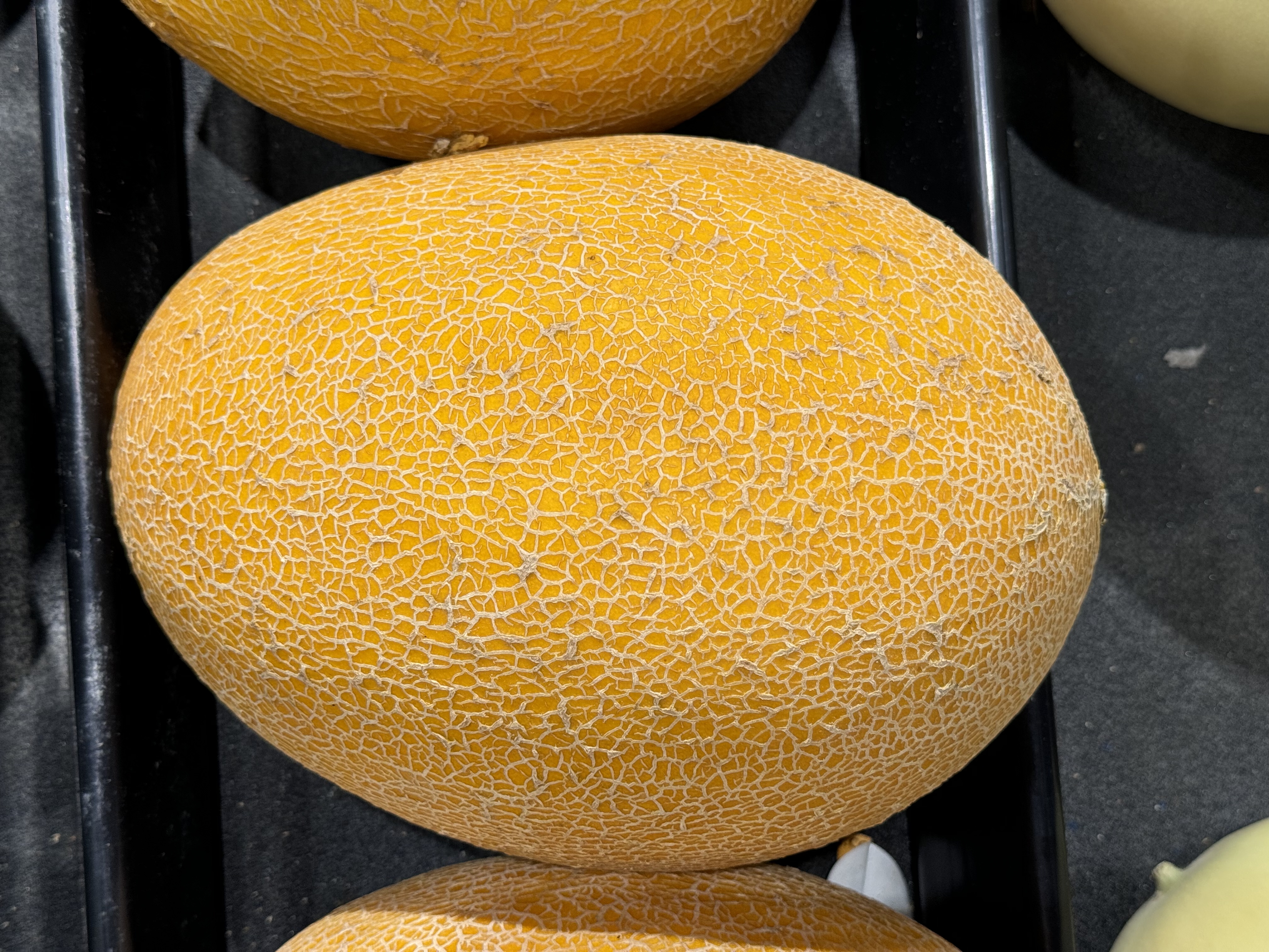 Yellow Hemi Melon