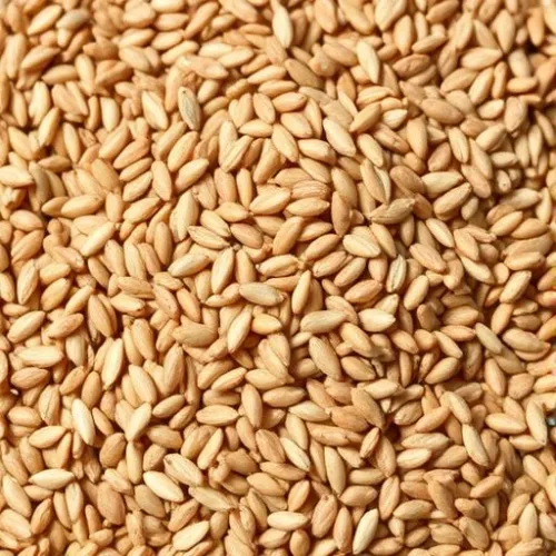 Flax seed