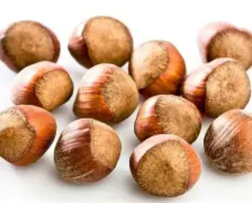 Hazelnut