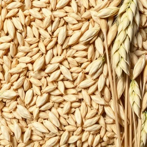 Oats