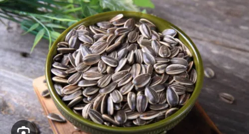 Sunflower seed