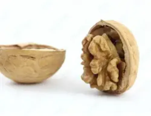 Valnut shell less
