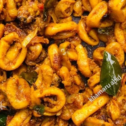 SQUID masal