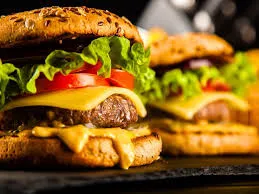 Bison Burger (Lunch Special)