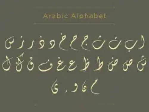 Arabic Wrap