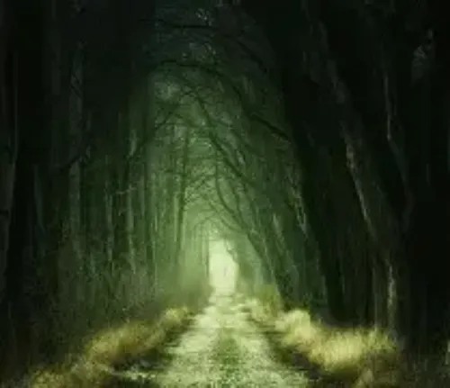 Dark Lime