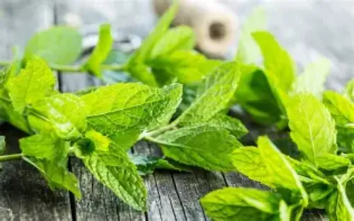 Mint lime