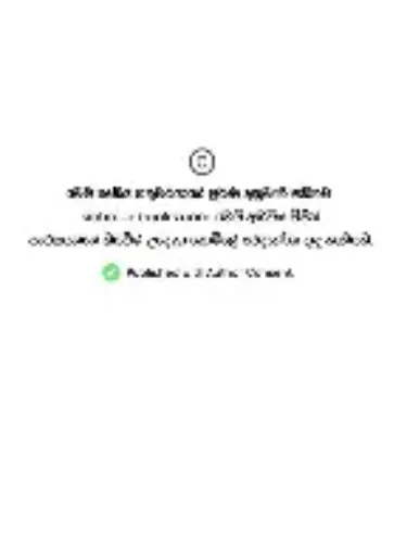 Schezwan Mandhi (Full)