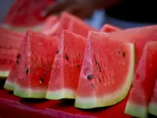 Watermelon cascara