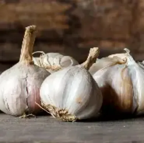 Garlic Paste