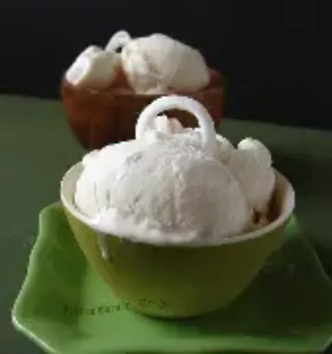 TENDER COCONUT ICE CREAM SCOOP
