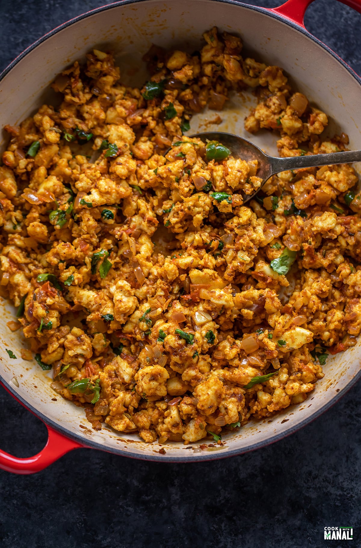 Paneer Bhuji