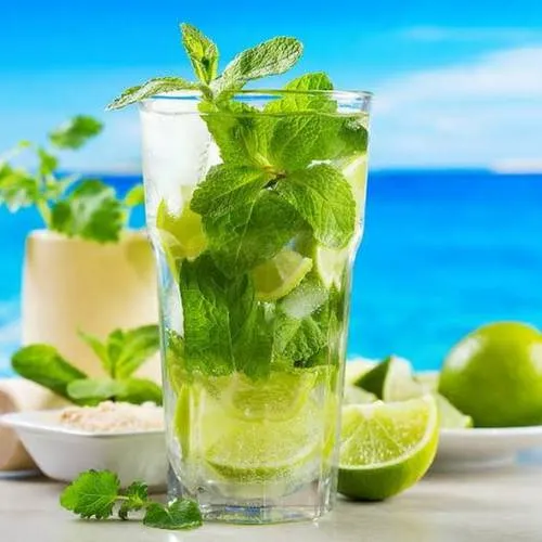 Chellam Mint