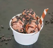 CHOCOLATE 2 SCOOP