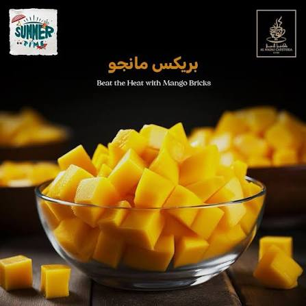 Mango Bricks