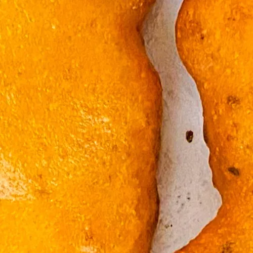 masala bread