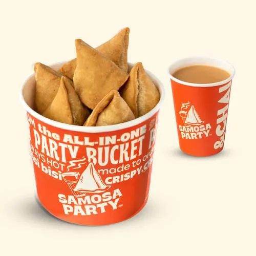 Samosa with Fries
