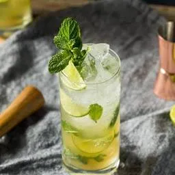 Mint Lemon Mojito