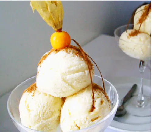 Spanish Delight Ice Cream Scoop