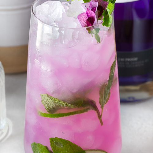 Pink gin mojito