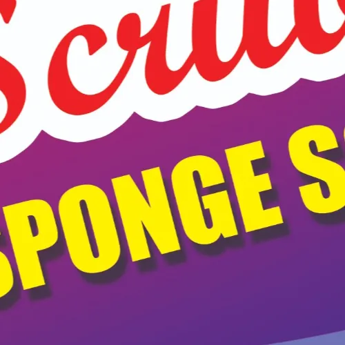 Quality sponge scrubber
