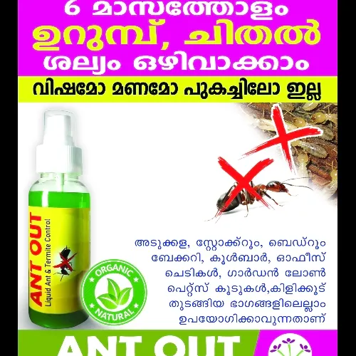 VAREITY ANTOUT