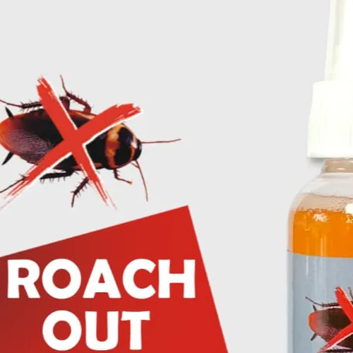 VAREITY ROACHOUT