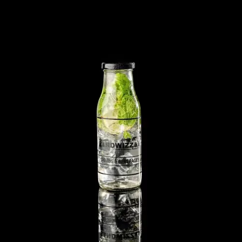 Virgin Mint Mojito
